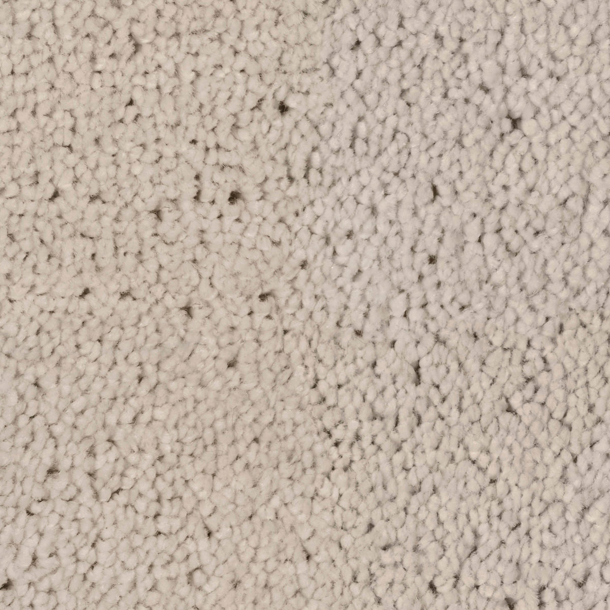 Desire Snow 0890 Carpet