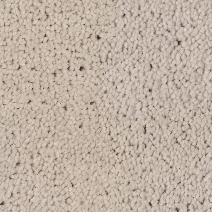 Desire Snow 0890 Carpet
