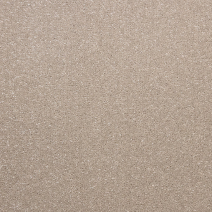 Lazio Sea Shell 1582 Carpet