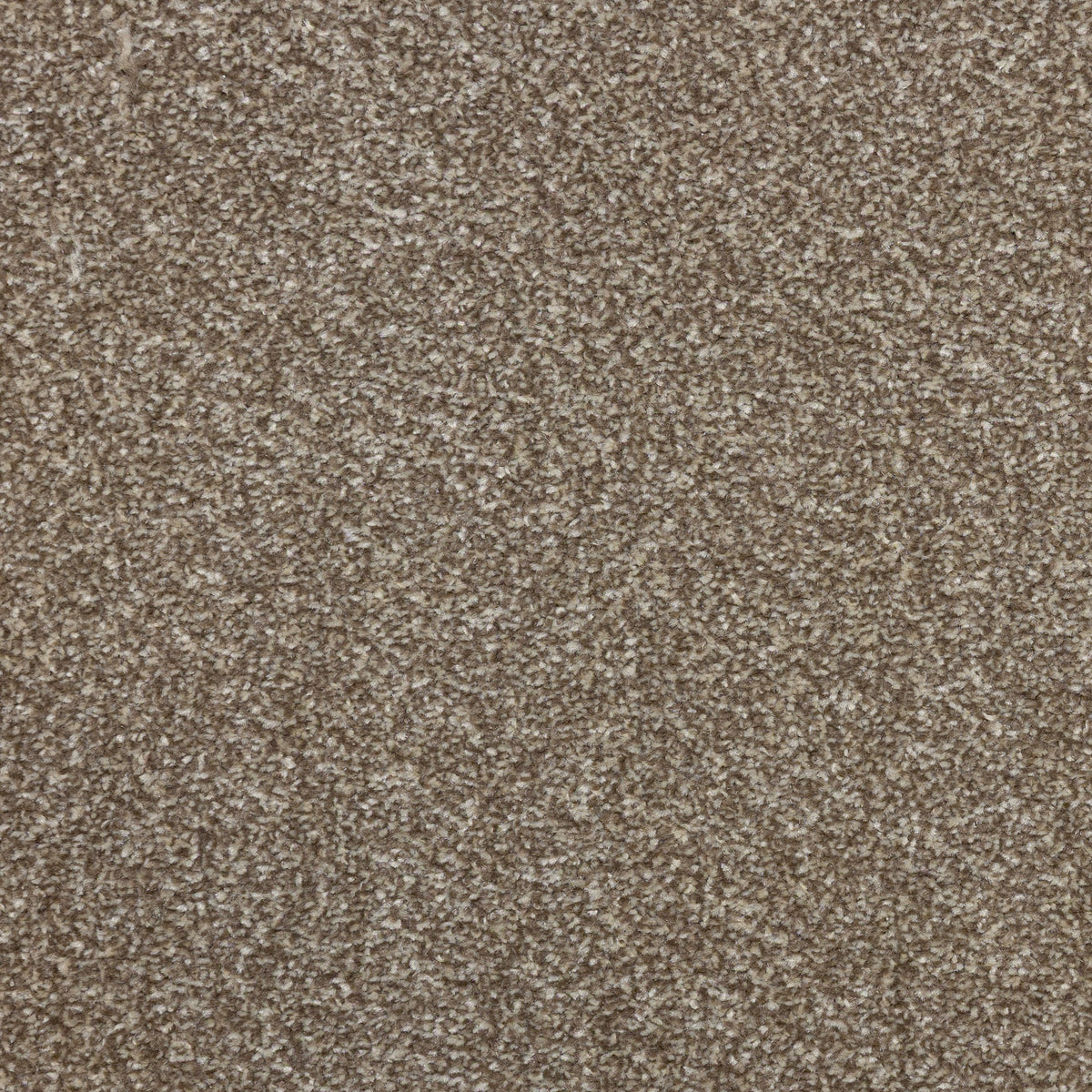 Lazio Latte 1586 Carpet
