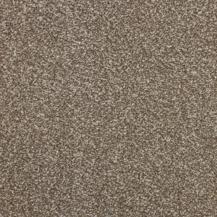 Lazio Latte 1586 Carpet