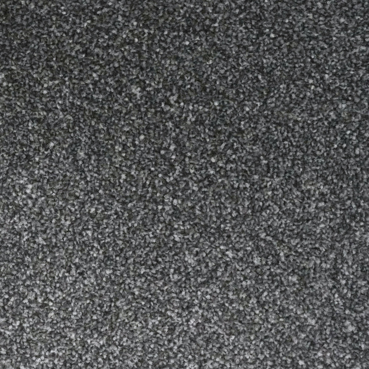 Lazio Steel Grey 1671 Carpet