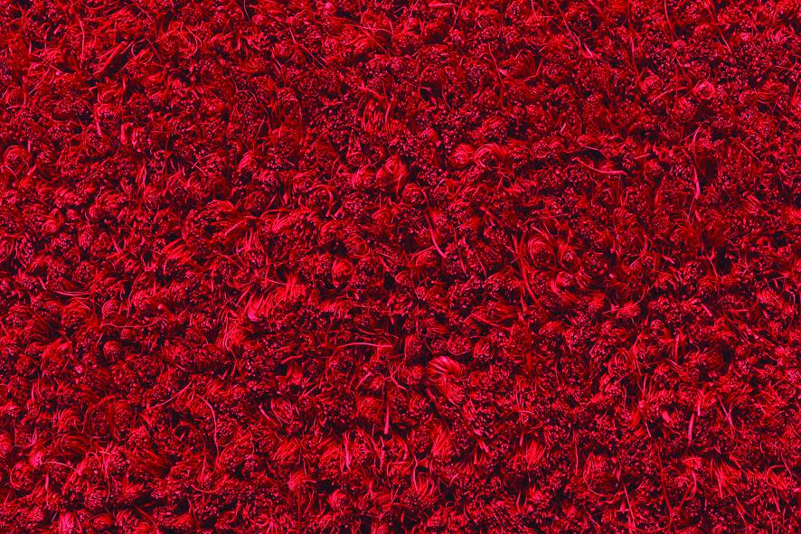 Orwell Coloured Red 17mm Matting