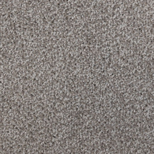 Maestro Fb Fossil 1957 Carpet