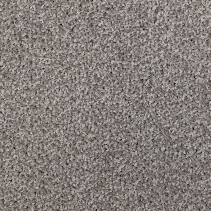 Maestro Fb Fossil 1957 Carpet
