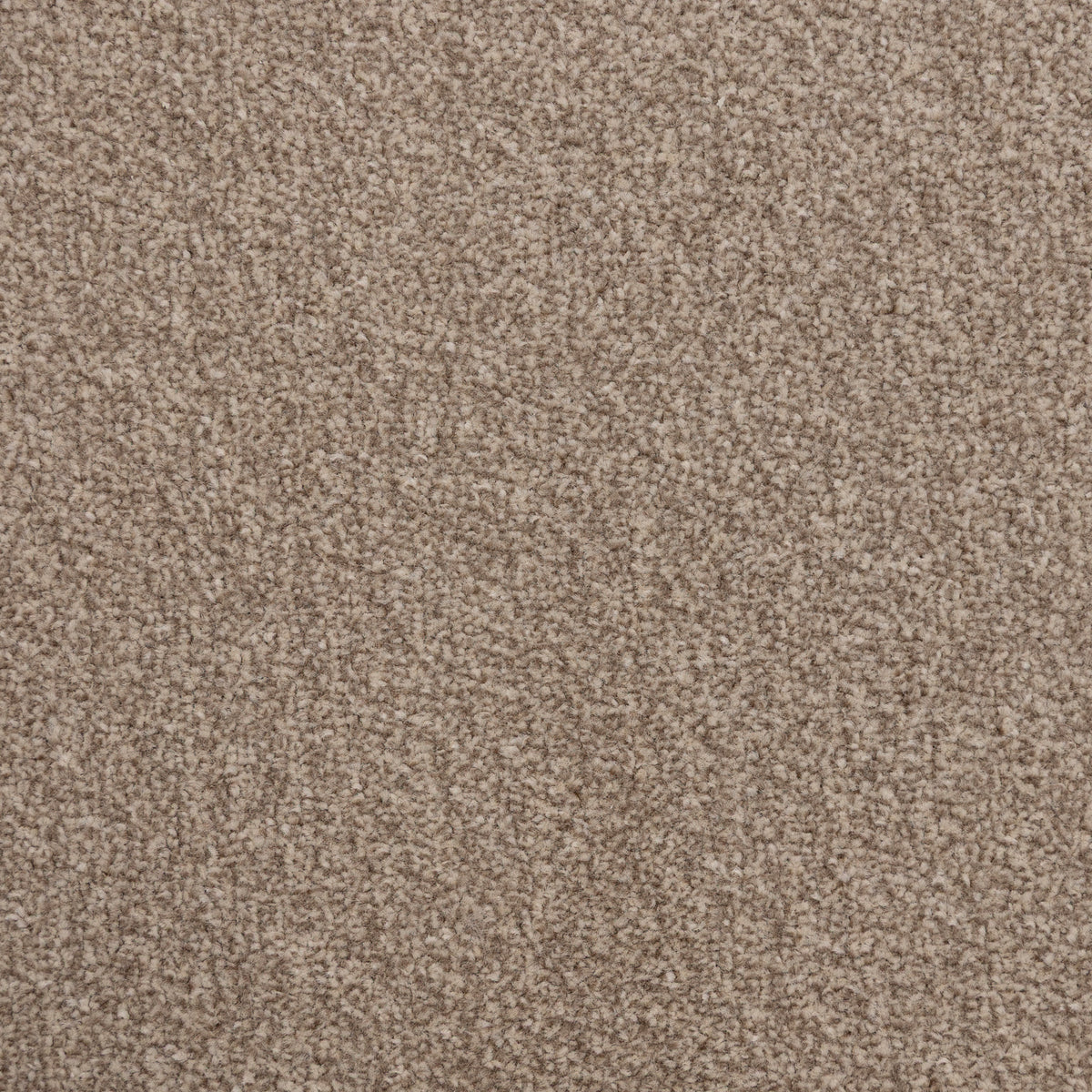 Messina Stepping Stone 1577 Carpet