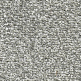 Passion AB Agate Grey 184 Carpet