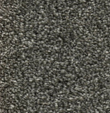 Passion AB Brushed Nickle 794 Carpet