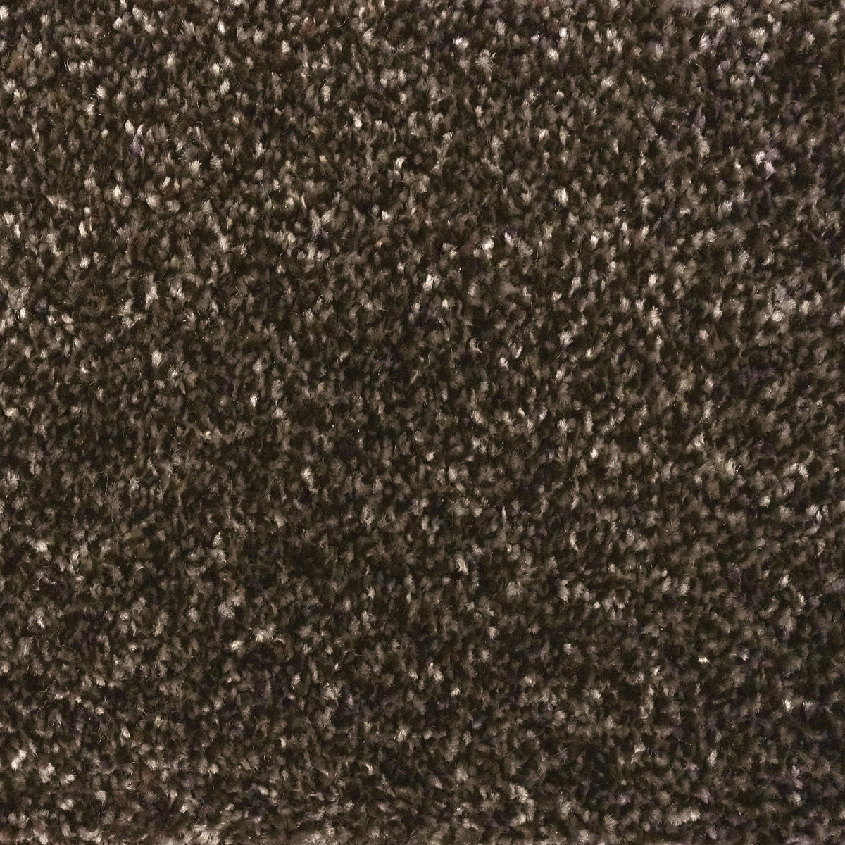 Maxima Chocolate 640 Carpet