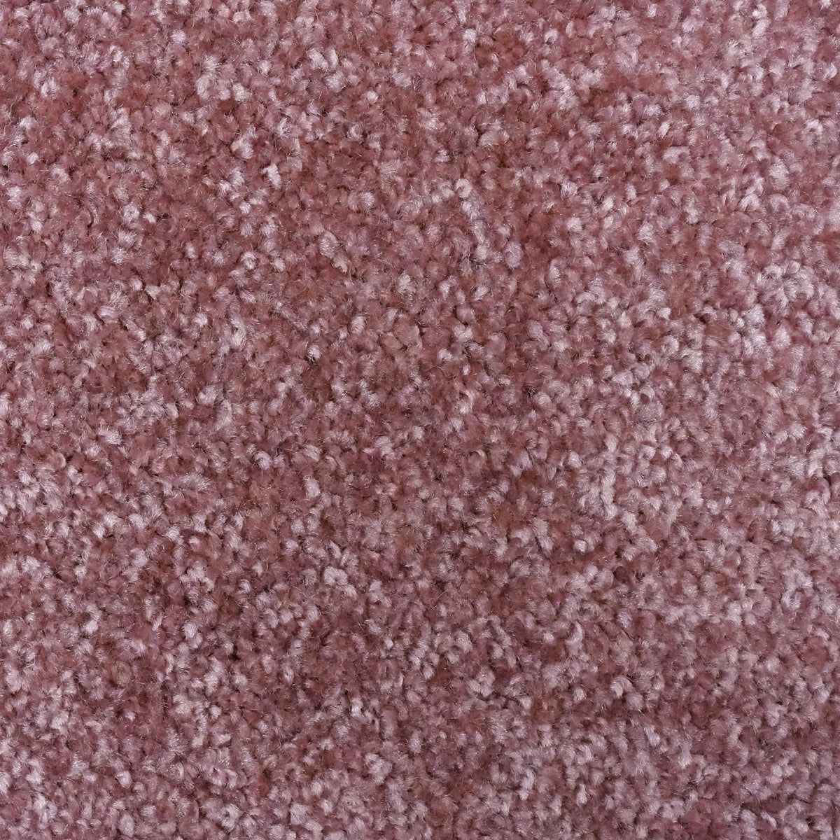 Maxima Rose 645 Carpet