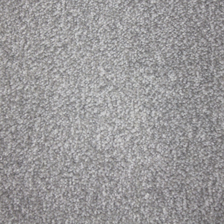 Hathaway Braga Medina Silver Carpet
