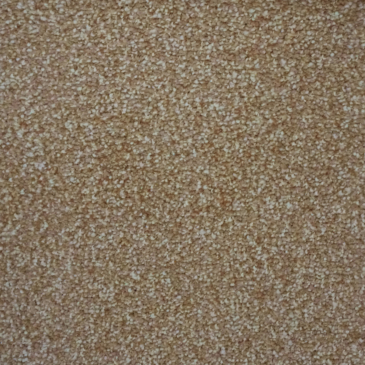 Napoli Biscuit Carpet