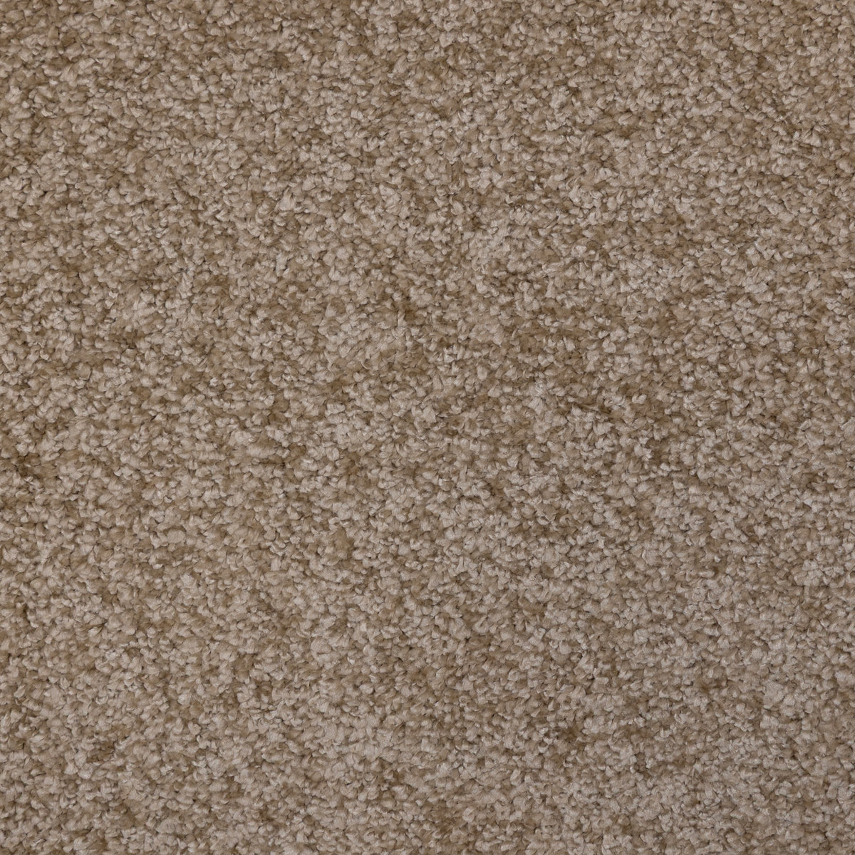 Opulence Latte 04 Carpet