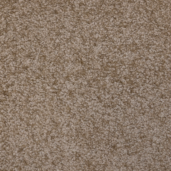 Opulence Latte 04 Carpet