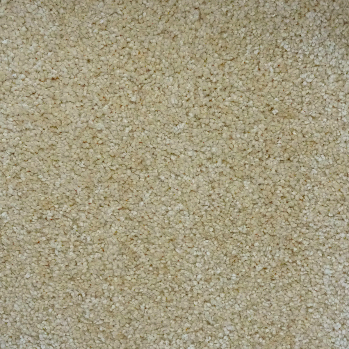 Opulence Oatmeal 05 Carpet