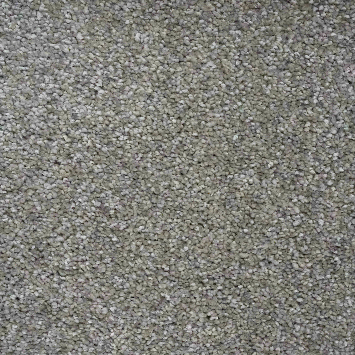 Opulence Platinum 10 Carpet