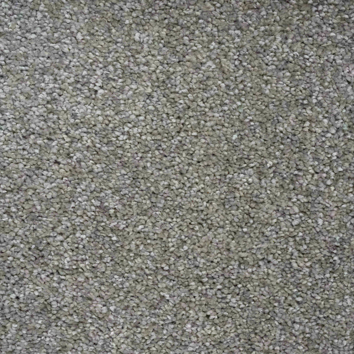 Opulence Platinum 10 Carpet