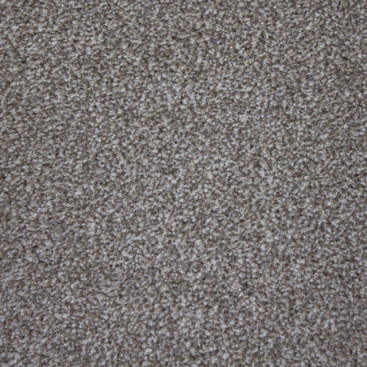 Hathaway Braga Oak Carpet