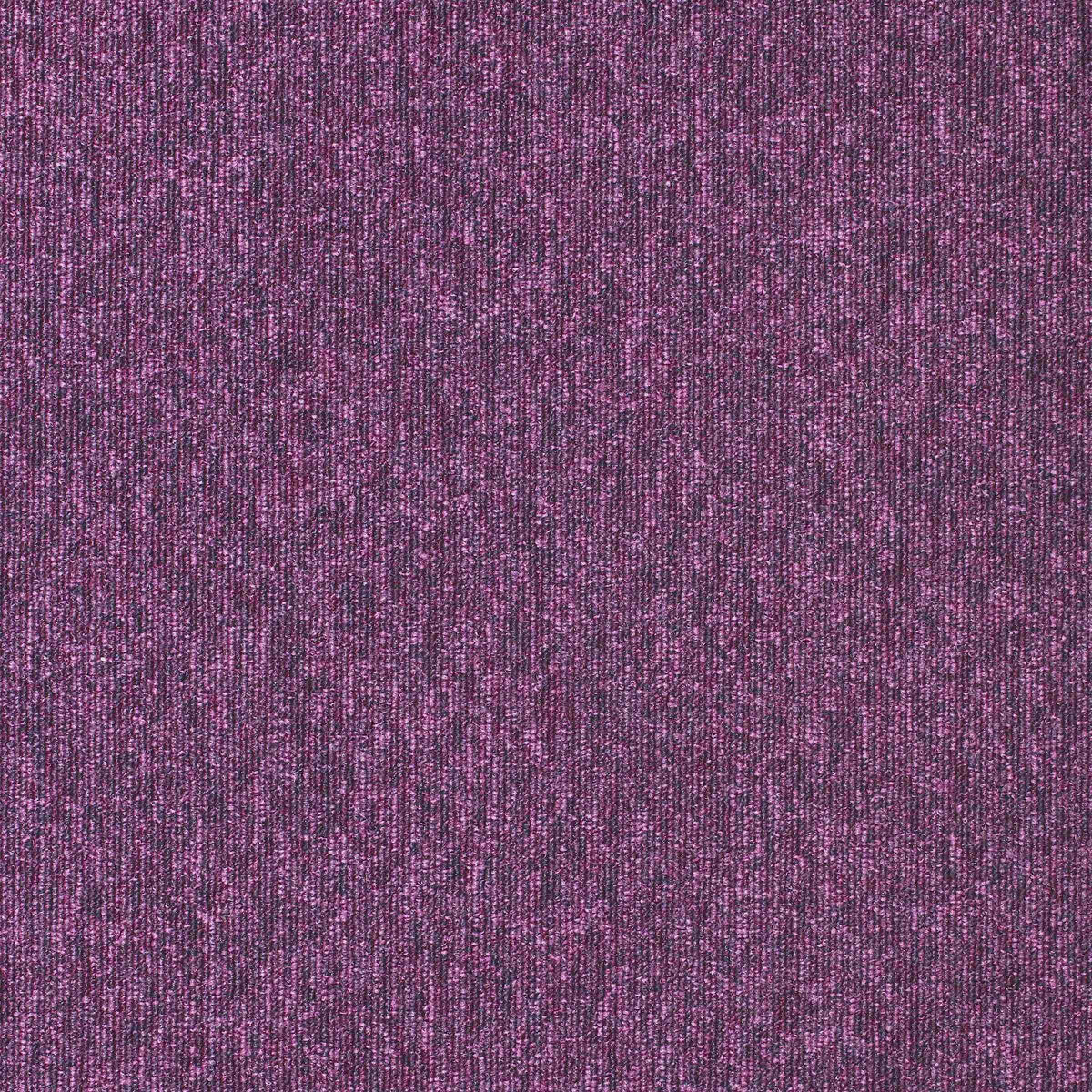 Watcher Loop & Lines Plum 750 Carpet Tiles