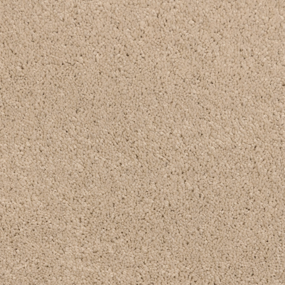 Perseus Vanilla 5212 Carpet