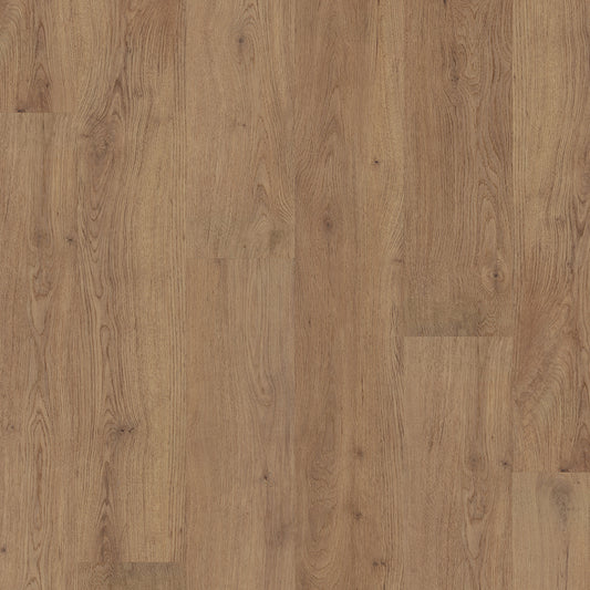 Fusion Line Catherdral Oak 1066 Luxury Vinyl Flooring