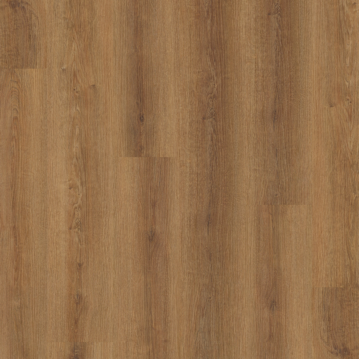 Concept Line Maldon Oak 3185 Luxury Vinyl Flooring