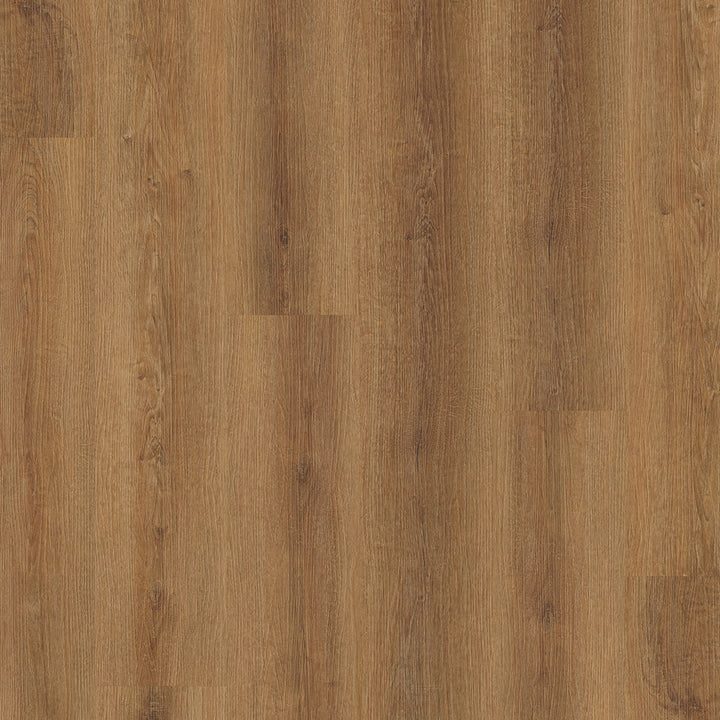 Concept Line Maldon Oak 3185 Luxury Vinyl Flooring