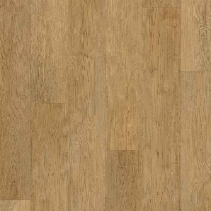 Fusion Line Acoustic Viola Oak 7938 Luxury Vinyl Flooring