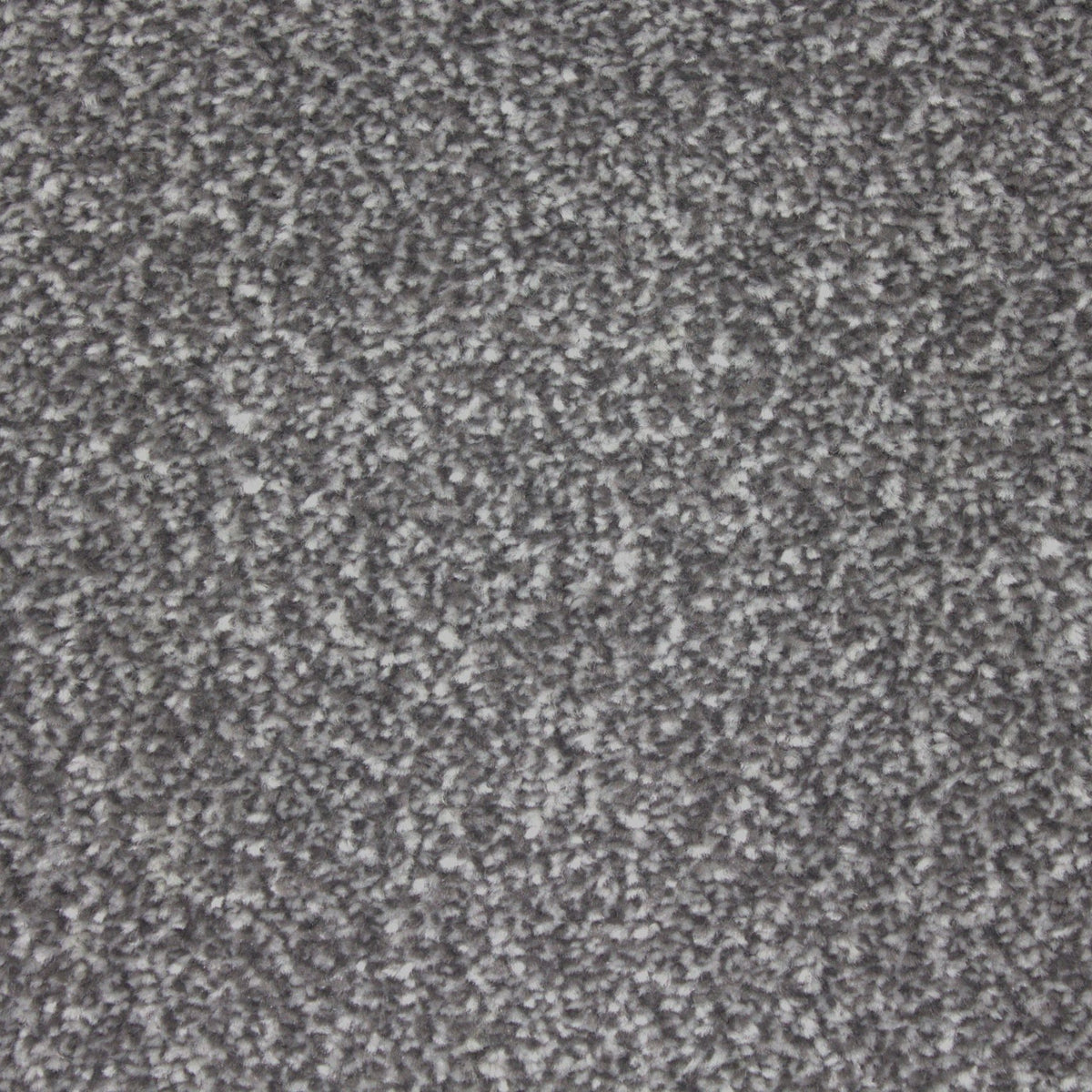Hathaway Braga Pedro Carpet