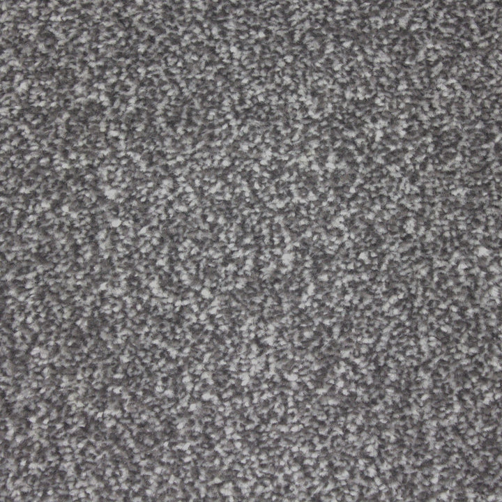 Hathaway Braga Pedro Carpet