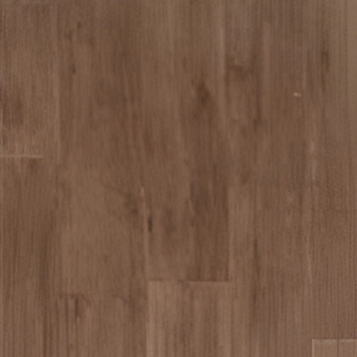 Valley Carpets Premier Collection 2026 6137 Vinyl