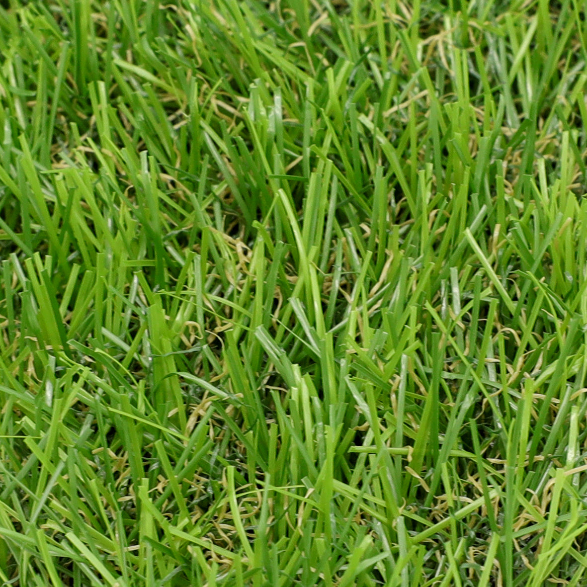 Super 30 30mm Artificial Grass