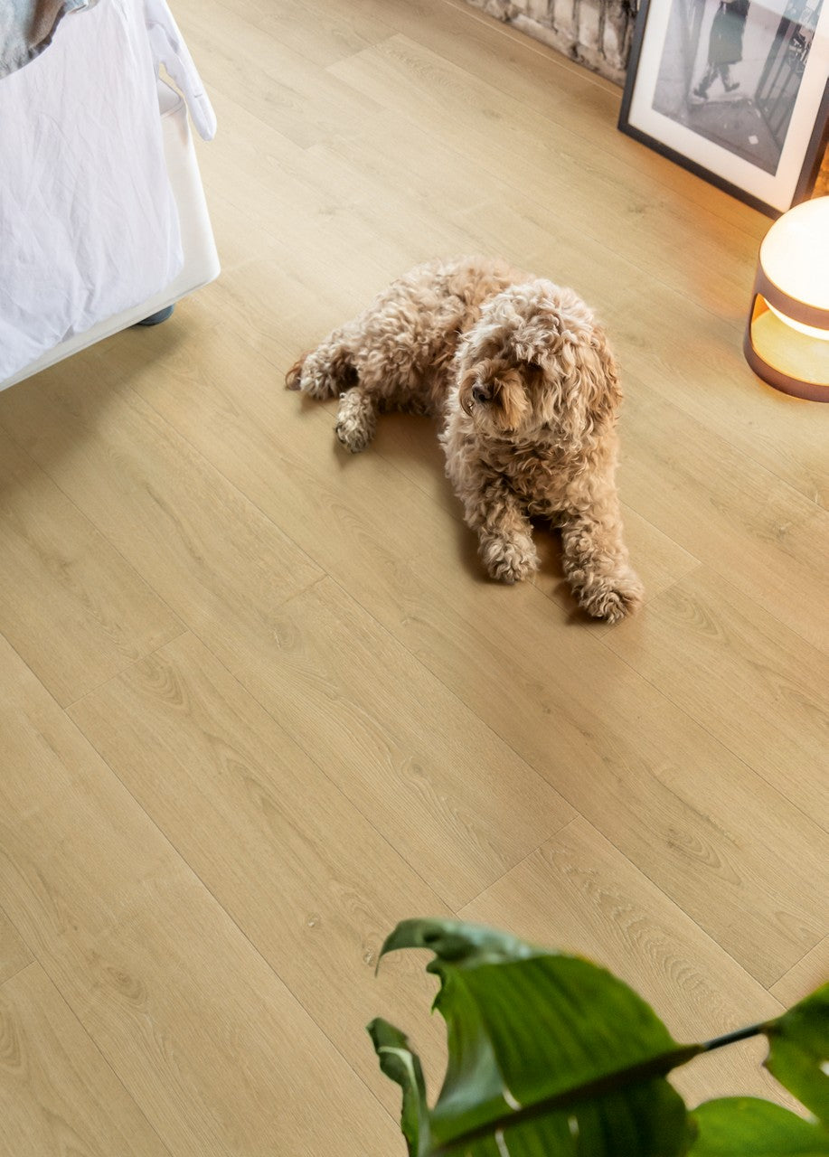 Quickstep CAPTURE BRUSHED OAK NATURAL SIG4763 9mm Laminate Flooring