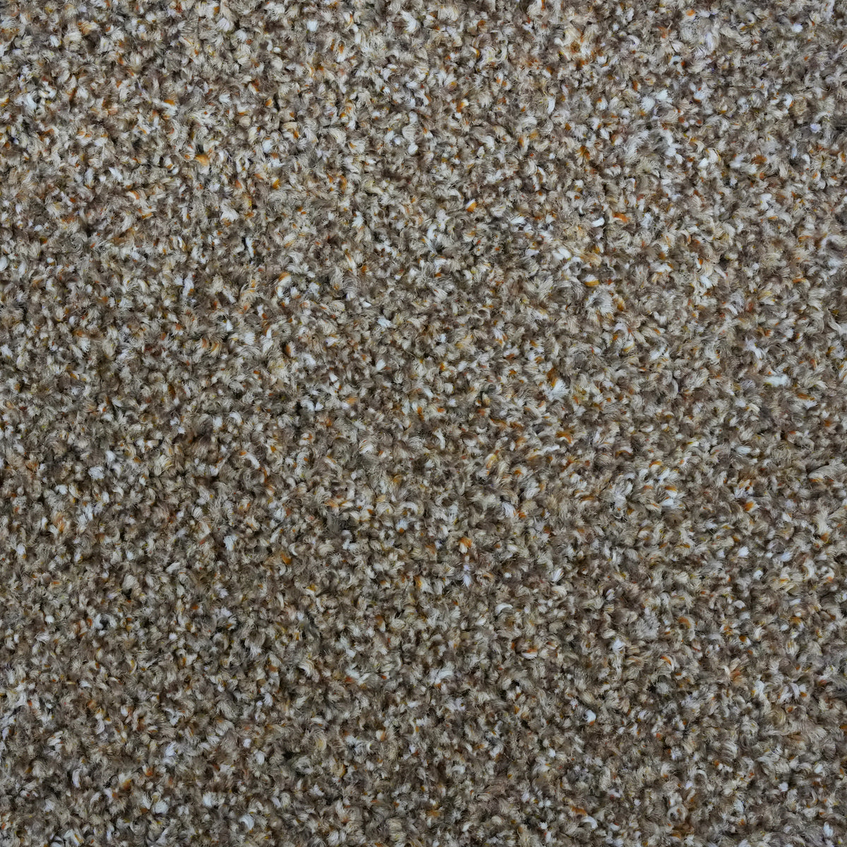 Rustico Hazelnut 627 Carpet