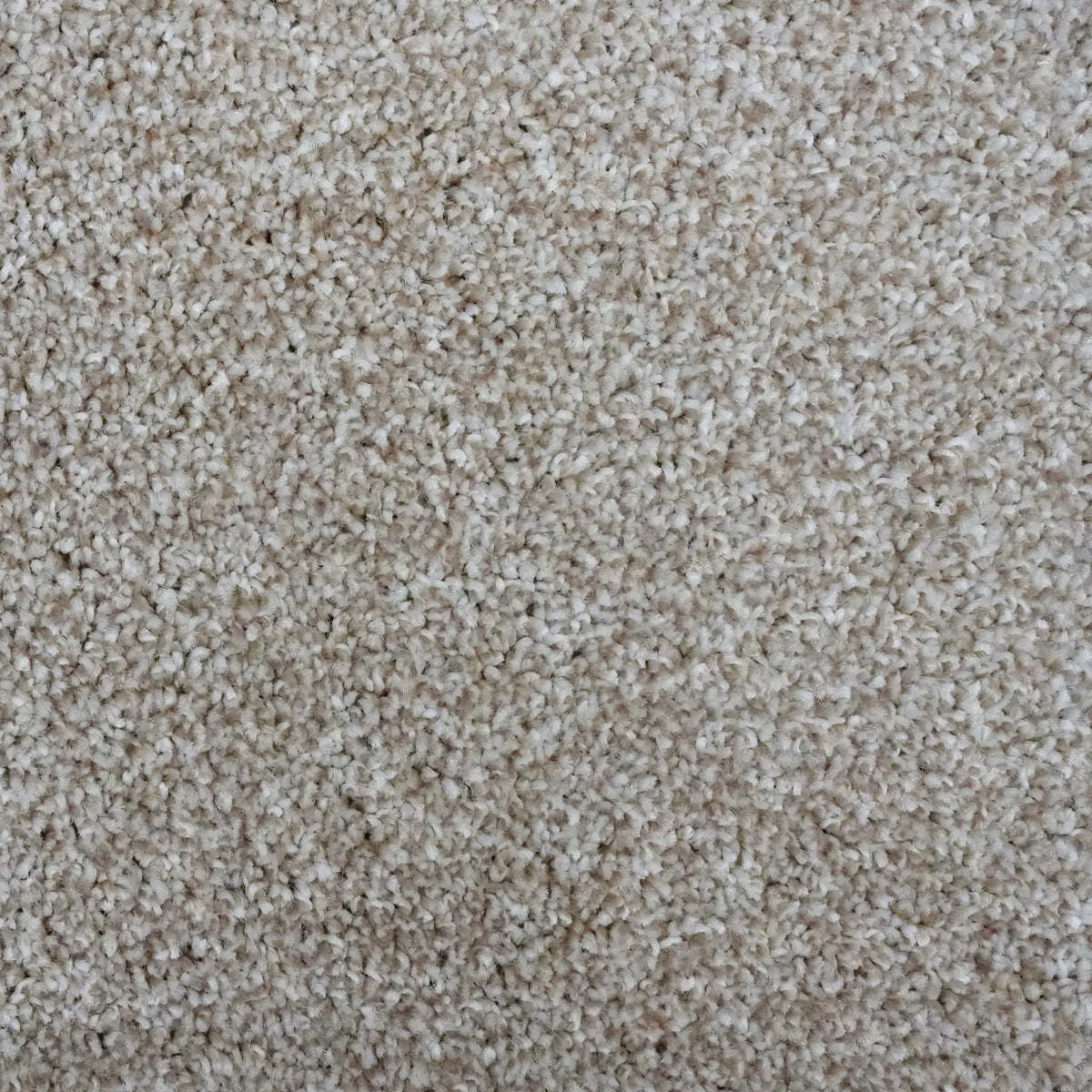 Rustico Beach Sand 629 Carpet