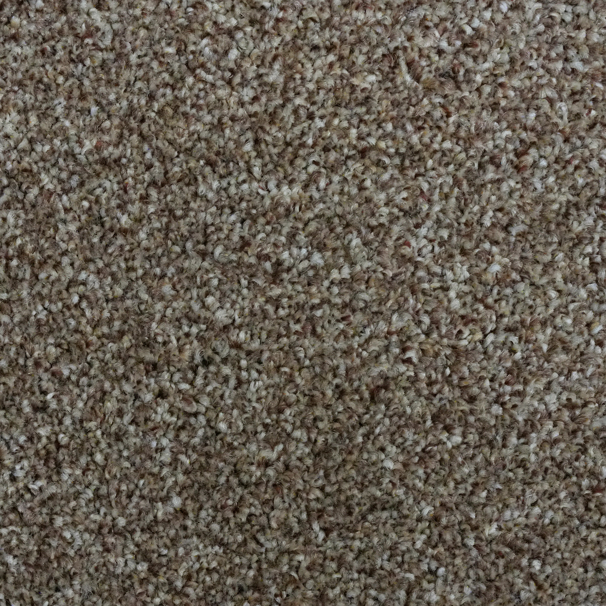 Rustico Celestia 630 Carpet