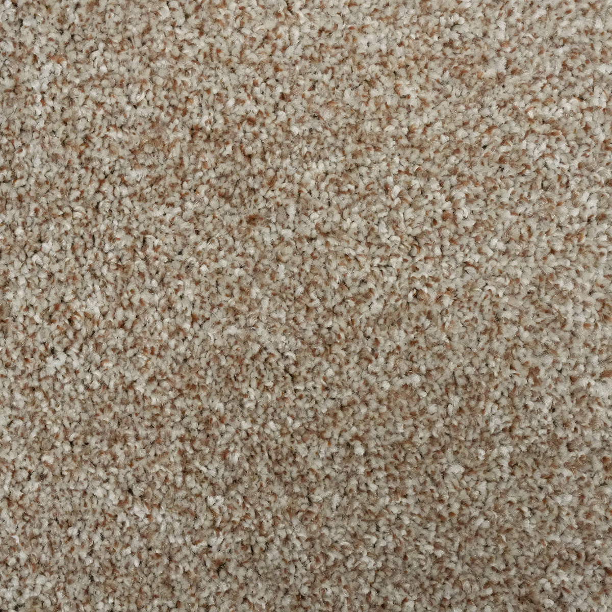 Rustico Caramel 635 Carpet