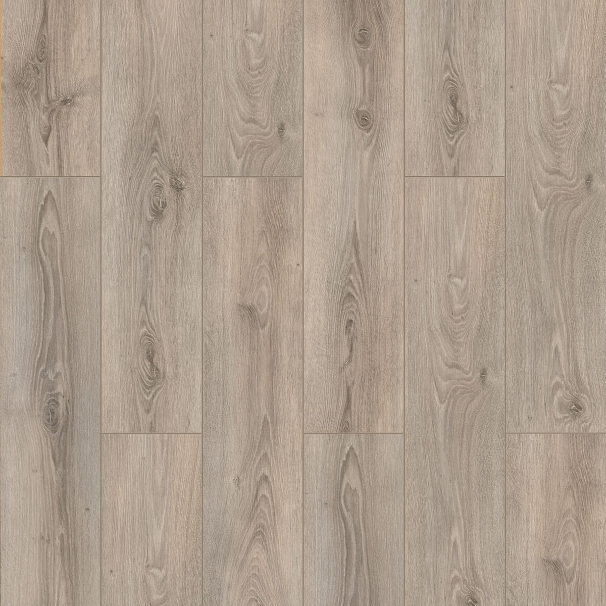Prime Erasmus 8mm Laminate Flooring