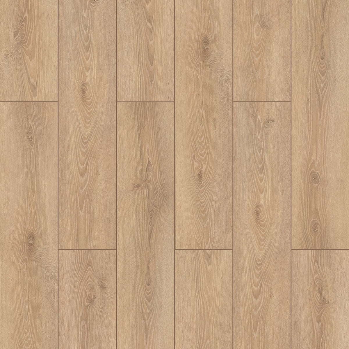 Prime Rialto 8mm Laminate Flooring