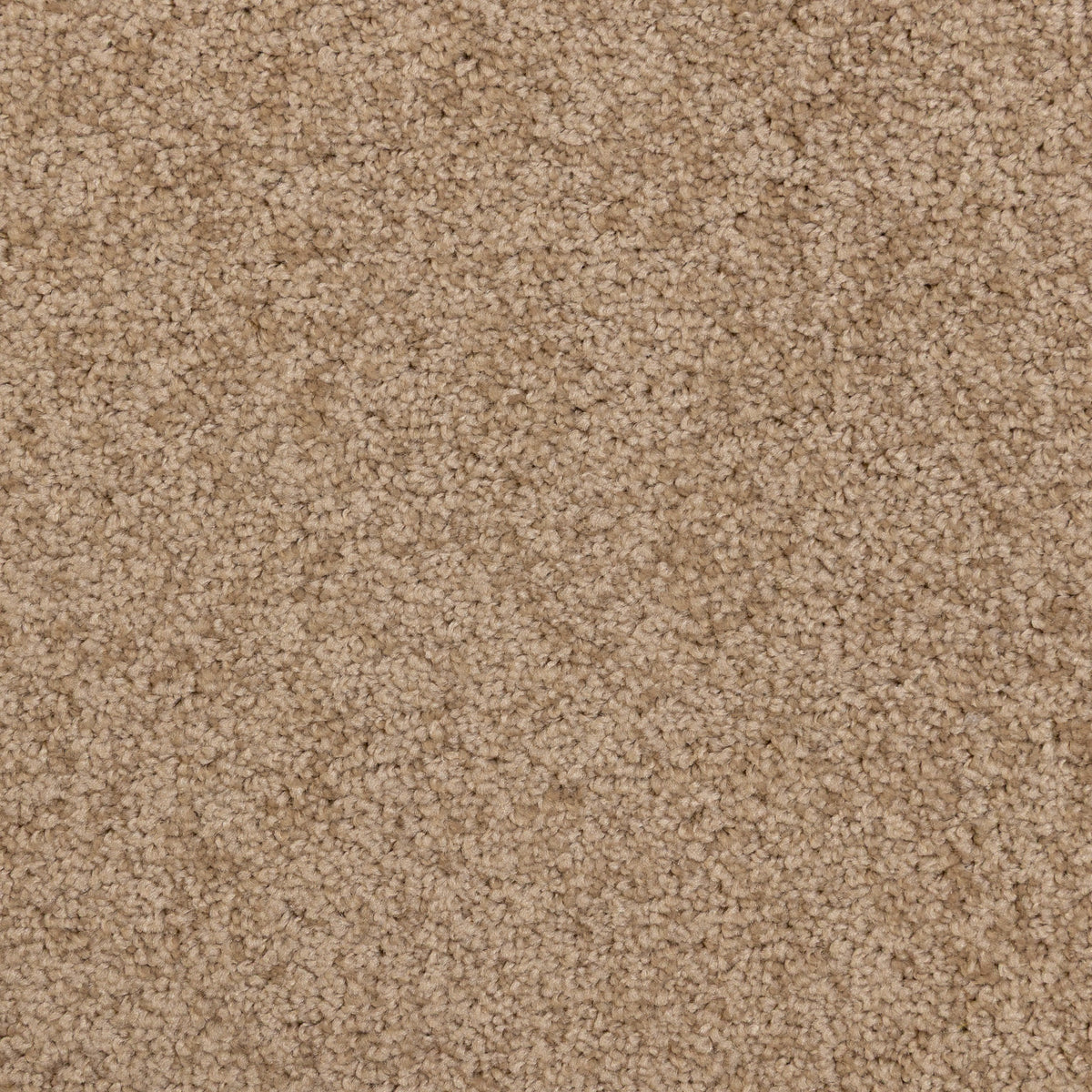 Sorrento Fawn 10438 Carpet