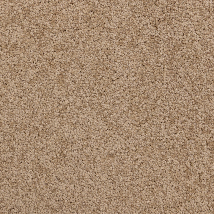 Sorrento Fawn 10438 Carpet