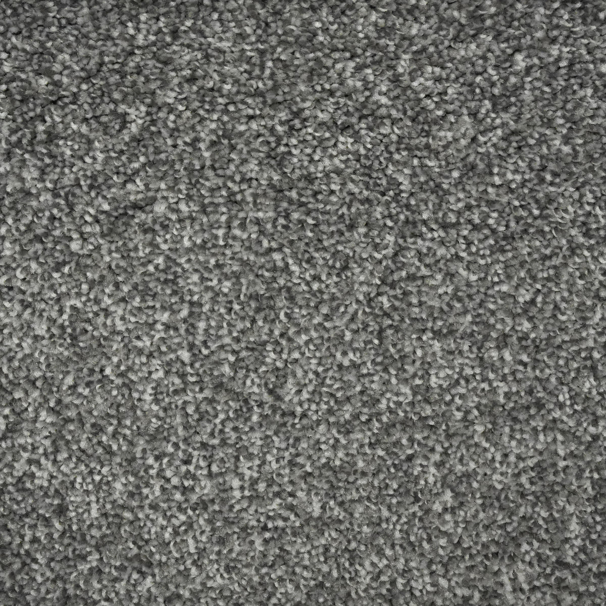 Sorrento Feather GREY10427 Carpet