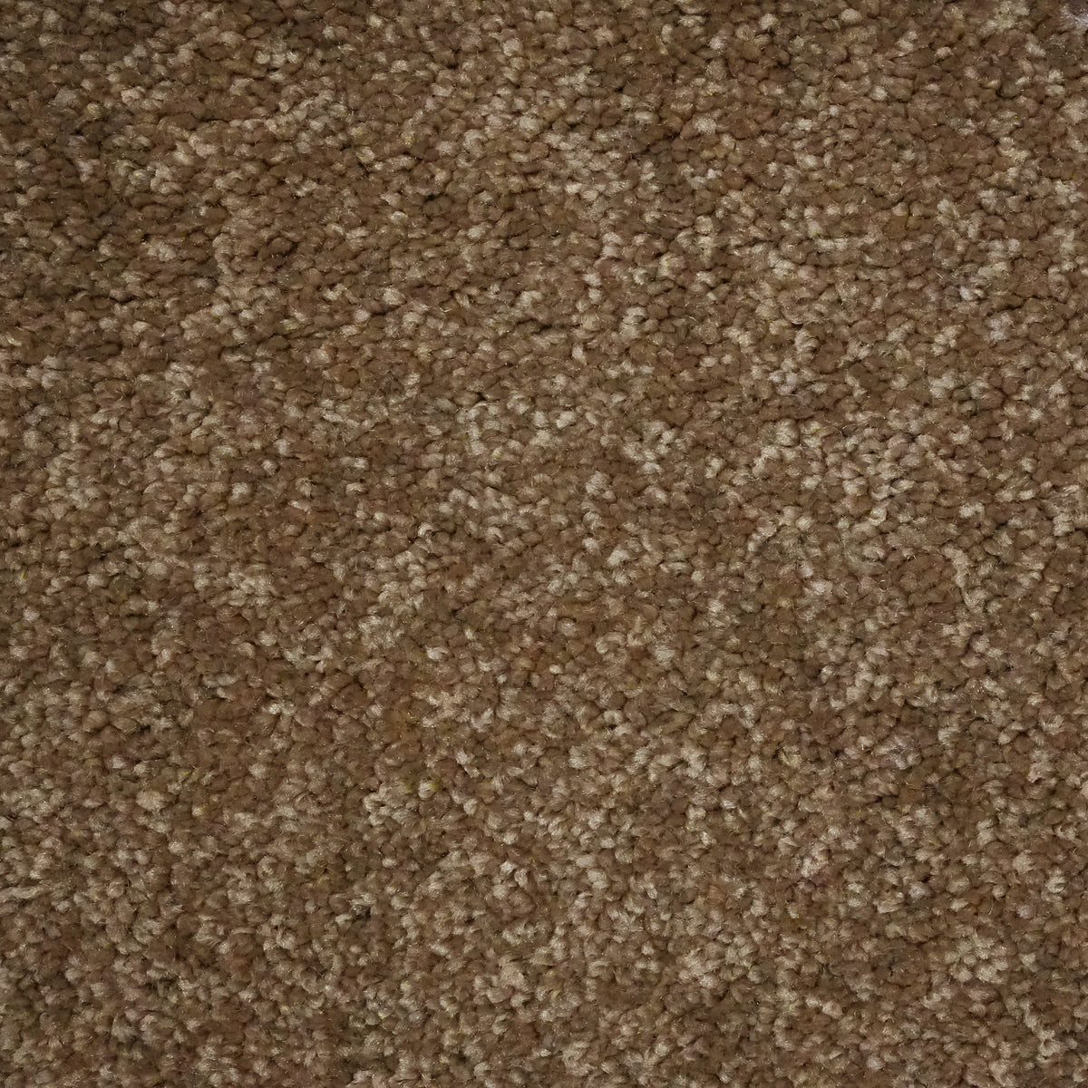 Sorrento Mocha 10437 Carpet