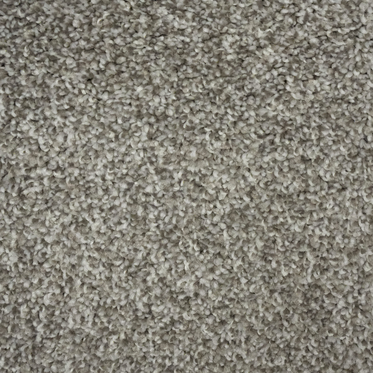 Sorrento Silv Shadow 10428 Carpet