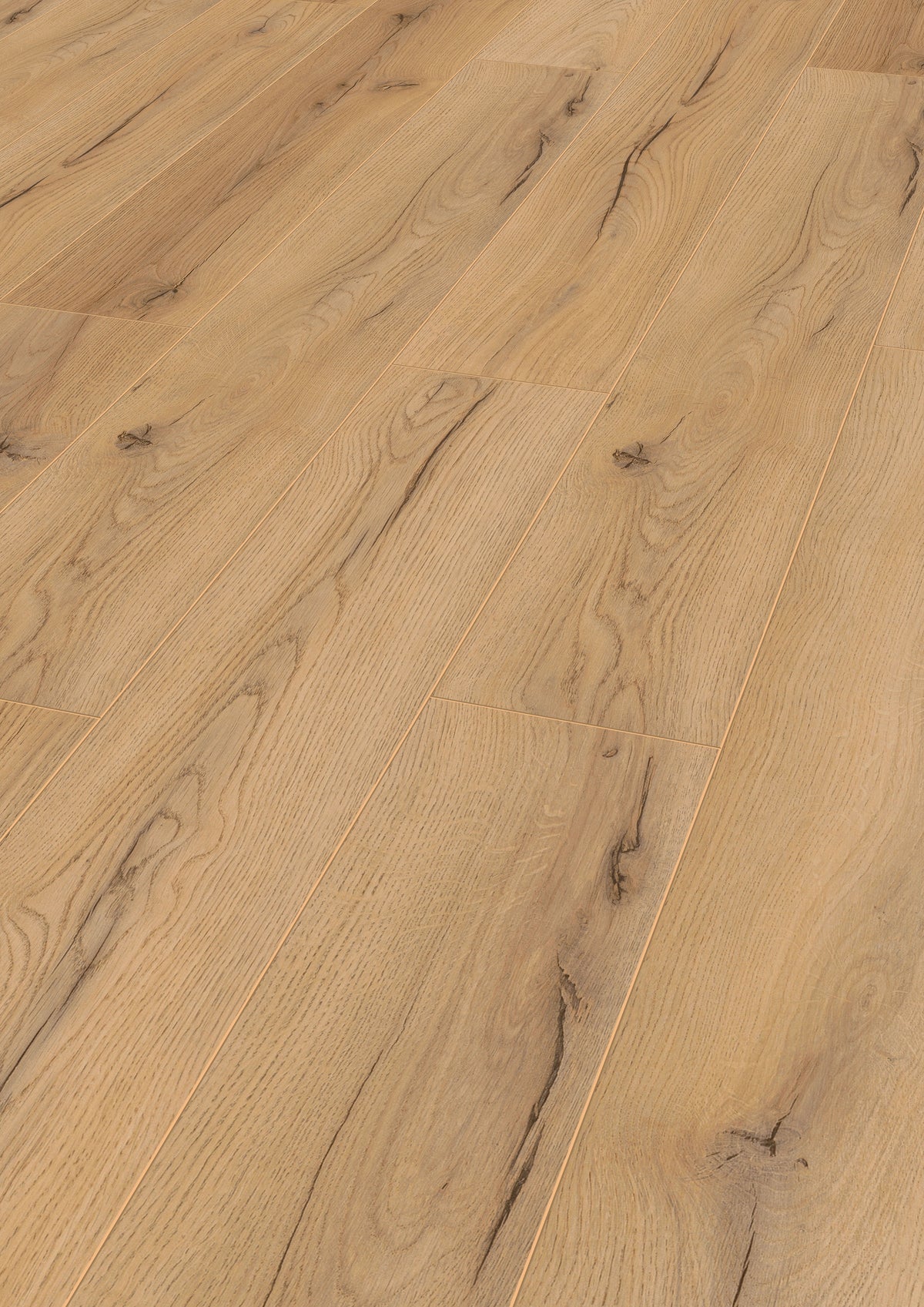 Standard Plus Cen Oak B 7mm Laminate Flooring