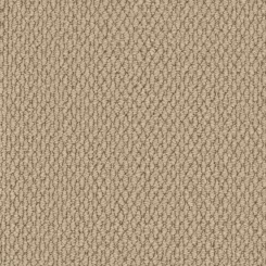 Solido Rigatta Mink Carpet