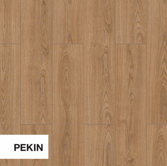 Stepclick XL Pekin