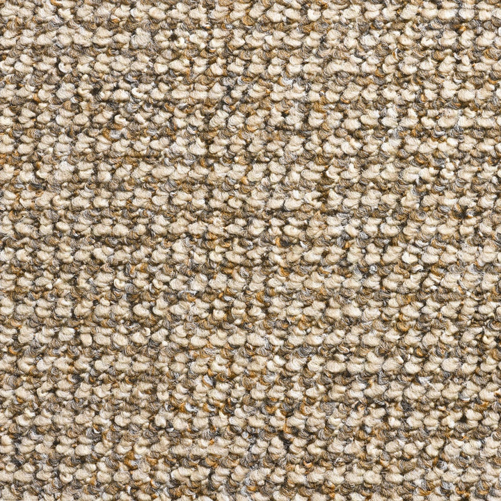 Canada 20 Carpet