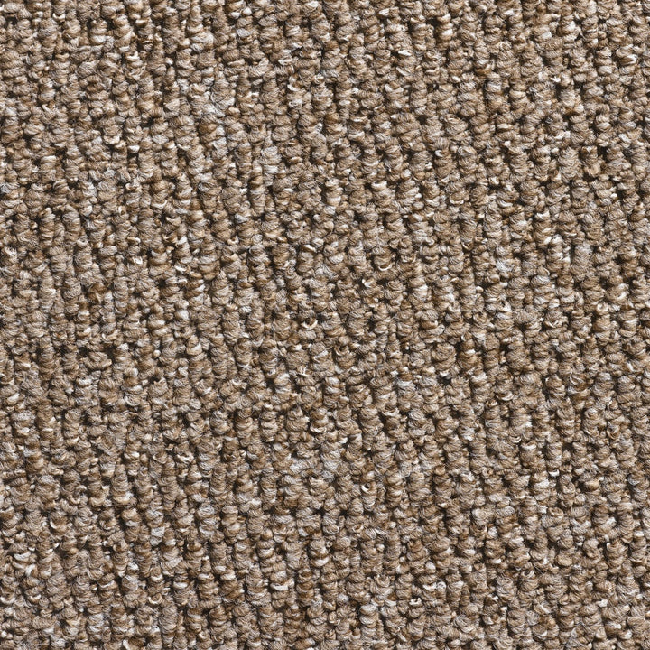 Pastiche Felt Oak 4316 Carpet