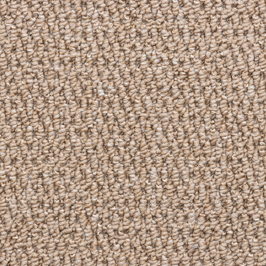 Pastiche Felt Desert 4318 Carpet